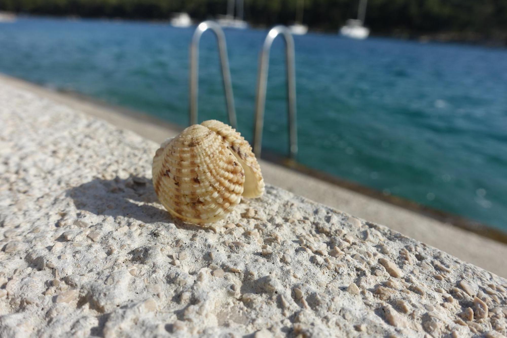 Apartment Tonka Vodice Kültér fotó